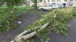 Упавшие деревья и реки во дворах: Как Петербург переживает последствия шторма?