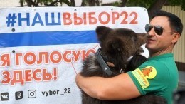 Голосование с национальным колоритом: мужчина пришел на участок с медвежонком