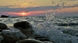 «Как кисель»: Черное море возле Одессы позеленело — видео
