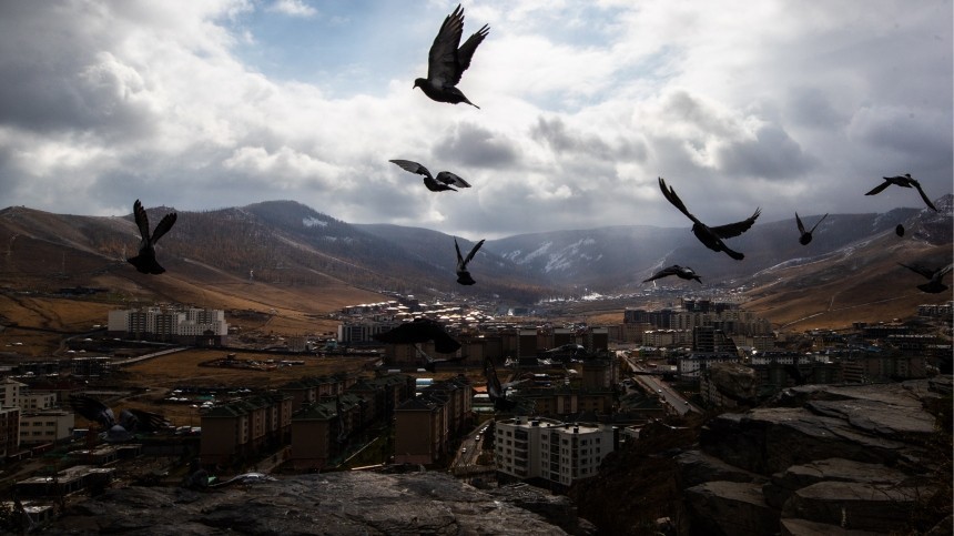 В Монголии объявили карантин из-за бубонной чумы