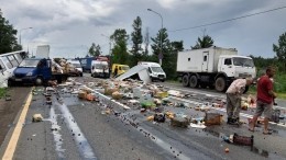 Видео: маршрутка и грузовая Газель столкнулись в Ленобласти