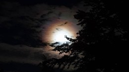 Первые кадры завораживающего лунного затмения публикуют в сети жители Земли