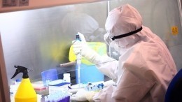 Ученый Сколтеха раскрыл пути завоза коронавируса в Россию