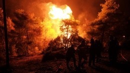 Мощный лесной пожар вплотную подобрался к столице Греции — видео