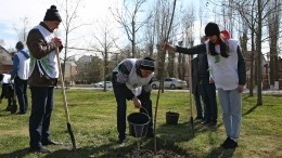 Более 27 миллионов деревьев в 50 странах мира высадили участники акции «Сад памяти»