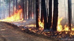 Видео: природные пожары атаковали Чукотку
