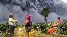 Видео: вулкан в Индонезии выбросил столб пепла высотой пять километров