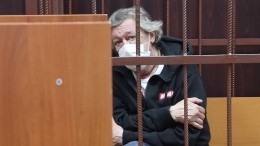 «Как он может признать вину?» — Пашаев о протоколе допроса Ефремова