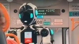 Видео: в московской электричке появился робот-контролер