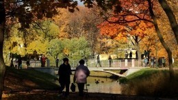 Синоптики рассказали, когда в европейской части России ждать бабье лето