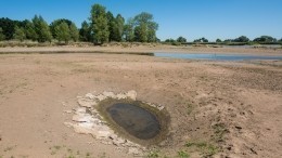 Куда утекла вода? На Кубани разразилась экологическая катастрофа — видео