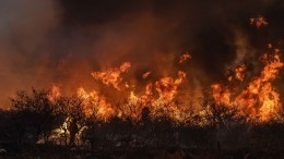 Пенсионерка заживо сгорела в доме в ходе природных пожаров в Ростовской области