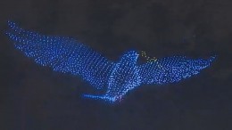Балет светлячков: 2,5 тысячи дронов взмыли в ночное небо Петербурга