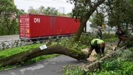 Число погибших от тайфуна в Приморье увеличилось до двух человек