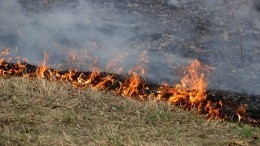 Природный пожар в Воронежской области охватил десять гектаров