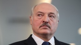 «Правильно упрекают»: Лукашенко заявил о нежелании «отдавать власть»