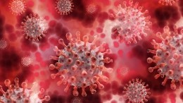 ВОЗ рапортует о рекордном росте коронавируса по всему миру
