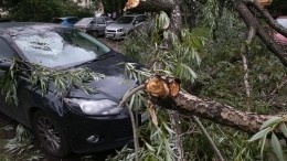 Деревья как снаряды: мощный ураган ударил по Москве и Подмосковью