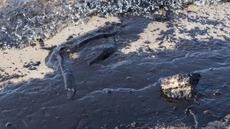Тонна нефти вылилась в реку и почву на Таймыре