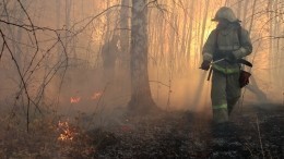 Под Рязанью ликвидированы все последствия взрывов на складе боеприпасов