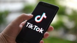 Как стать TikTok-миллионером: Forbes составил рейтинг самых богатых видеоблогеров России