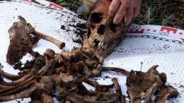 Сотни мешков с останками обнаружили в форте под Калининградом