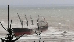 На Сахалине сухогруз с экипажем вынесло на мель во время шторма — видео