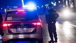 Неизвестный напал на синагогу в Вене — видео