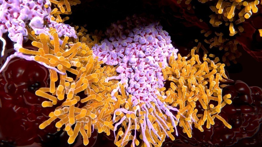 Носители туберкулеза проще и быстрее борются с коронавирусом