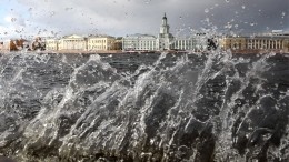 Падение девушки спиной в Неву на глазах у толпы людей попало на видео