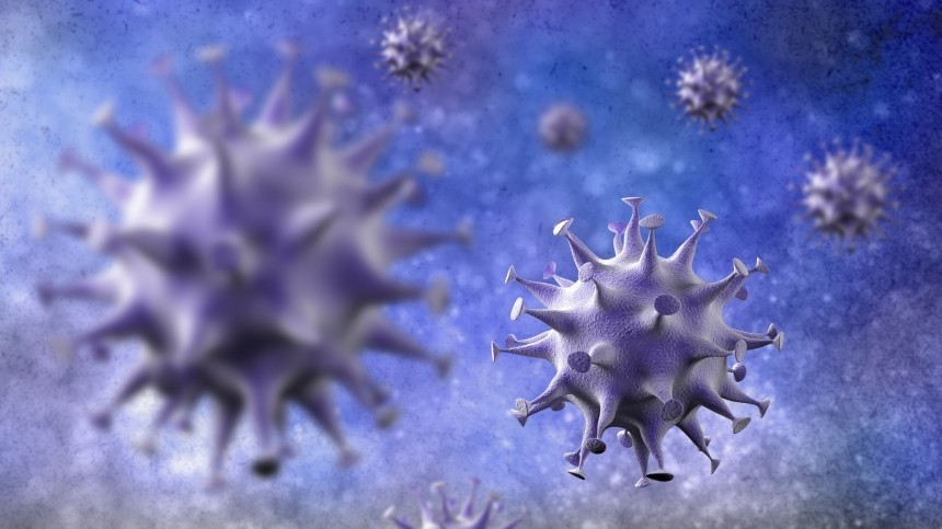 Возможно ли заразиться коронавирусом через еду — ответ Роспотребнадзора
