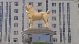 Национальный герой: В Туркмении поставили золотой памятник собаке породы алабай