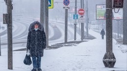 К снегопаду в Петербурге оказались готовы только коммунальщики