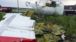 Суд отклонил все запросы на расследование иных версий крушения Boeing рейса MH17