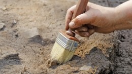 Уголовное дело возбуждено по факту гибели мирных жителей в Ленобласти в годы ВОВ