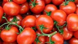 Ждать роста цен? Как изменится ситуация на рынке после исчезновения томатов из Азербайджана