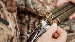 Подполковник полиции застрелил приятеля на охоте в Ленобласти, приняв за лося