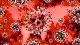 ВОЗ планирует отправить миссию в Китай, чтобы изучать происхождение коронавируса