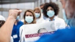 Мутировавший вид коронавируса обнаружили в Нидерландах, Дании и Австралии