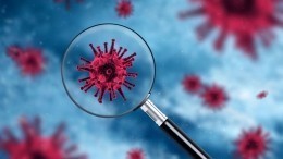 ВОЗ: Британский штамм коронавируса выявлен в восьми странах Европы