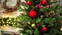 Голосуем за самую красивую! Кто из звезд лучше всех украсил новогоднюю елку?