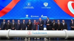 Президент Сербии запустил подачу газа по сербской части «Турецкого потока»