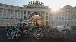 Чисто петербургское ДТП: Карета с лошадьми на полном ходу врезалась в авто