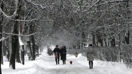 В Гидрометцентре рассказали, когда в европейскую часть России придут морозы