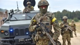 Time назвал Украину рассадником международного экстремизма