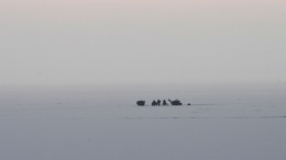 На Сахалине для спасения оторвавшихся на льдине рыбаков привлекли авиацию