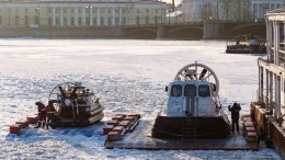 Чудесная история спасения собаки из ледяного плена — видео