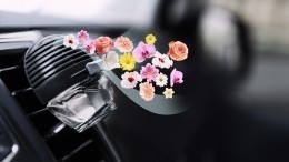 Как правильно выбрать ароматизатор в машину?