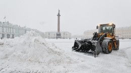 В Москве и Петербурге началось «арктическое вторжение»