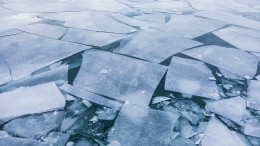 Трое детей провалились под лед в Воронежской области